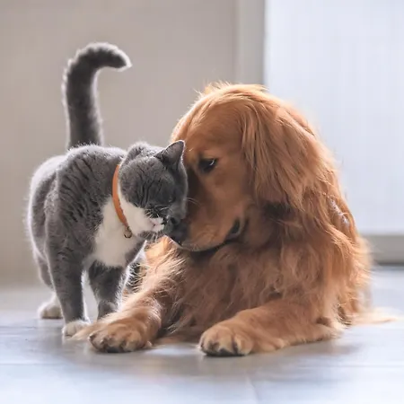 Barbeito 3000 Appartement Sanxenxo